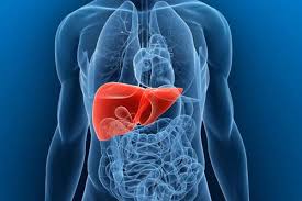 liver liver